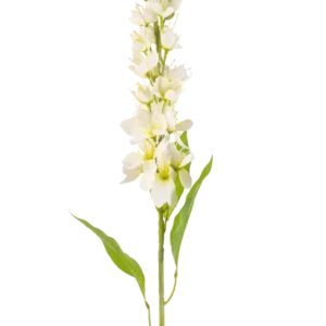 Die Kunstblume Asiatischer Apfel 84 cm creme hat einen langen Stiel mit mehreren zarten cremefarbenen Blüten und langen, schmalen grünen Blättern vor einem schlichten weißen Hintergrund.