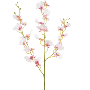 Die künstliche Blumenorchidee 98 cm in Rouge hat einen einzigen langen Stiel mit mehreren zarten hellrosa Orchideenblüten und -knospen, dünnen grünen Zweigen und kleinen ovalen Blättern, alles vor einem schlichten weißen Hintergrund.