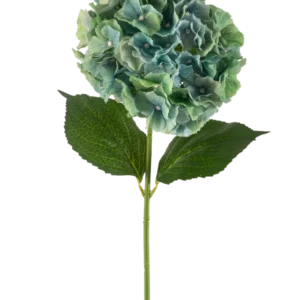 Die künstliche Blumenhortensie 75 cm in Pfauenblau besteht aus einer einzelnen blauen künstlichen Hortensie mit runden Blütenblättern und zwei großen grünen Blättern an einem langen Stiel, isoliert auf weißem Hintergrund.