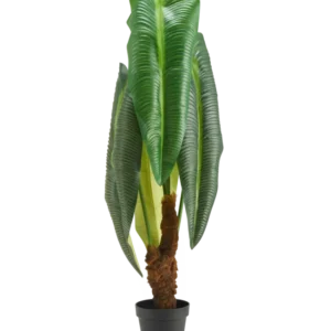 Een hoge kunstplant Anthurium van 120 cm met grote, glanzend groene bladeren en een bruine stam met een structuur, gepresenteerd in een kleine zwarte pot tegen een witte achtergrond.