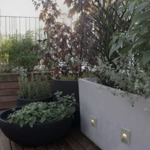 Finlo LED Außenwandeinbauleuchte Lichtauslass Kegel Grau IP65 als elegante Gartenwandbeleuchtung mit Pflanzen im Außenbereich