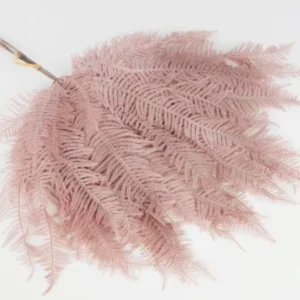 Bergfarn Farn konserviert Earth Matters - 1 Bund - Pink beige 081 - Si-nature