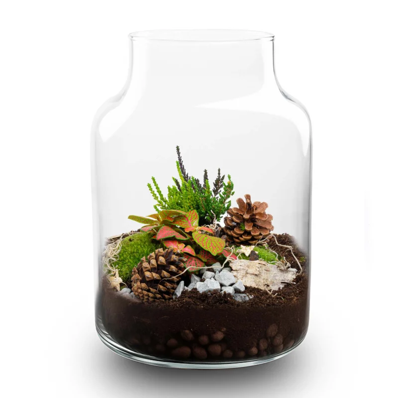 Frost - Winter terrarium - Bottle garden DIY kit - Ø 17 cm ↑ 25 cm