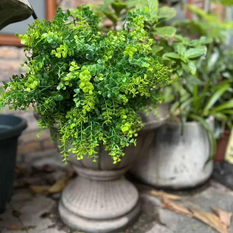 50 cm Boxwood Sträuch – große künstliche Grünpflanzen für den Außenbereich, UV-beständig