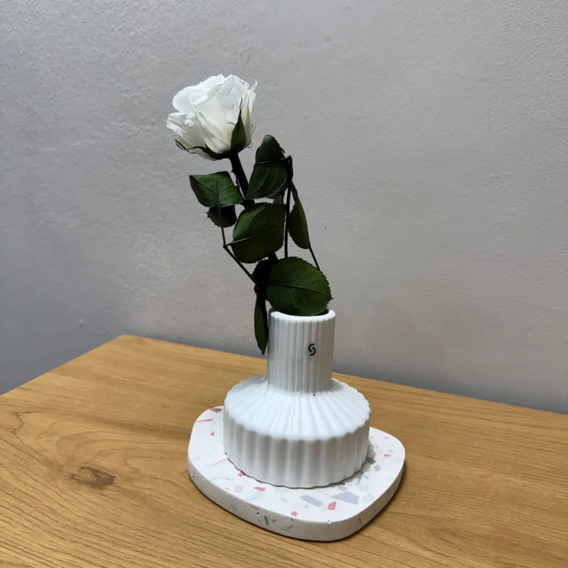 Gefriergetrocknete Rose in Hauptansicht, konservierte Trockenblume