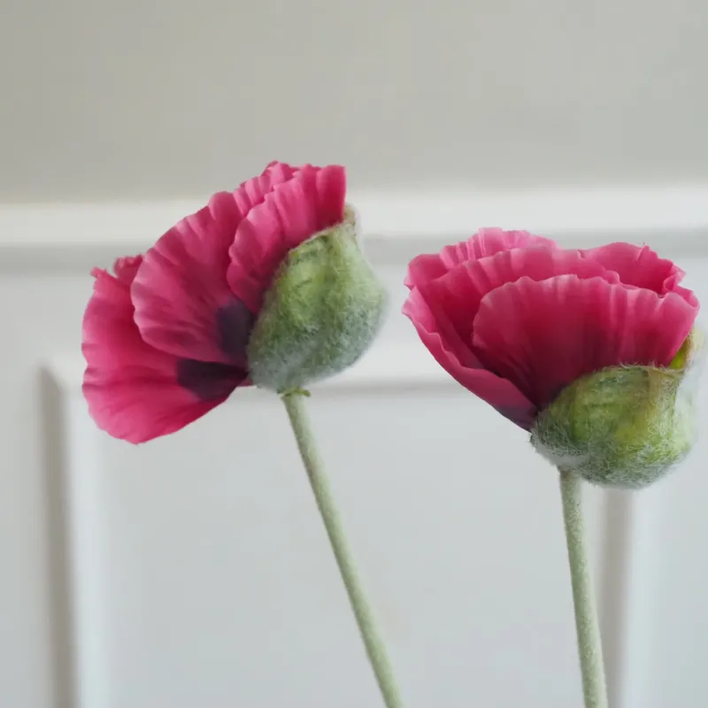 Mohn-Stiel Pink · Blume mit gefälteltem Blütenblatt, 2er Set