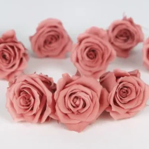 Rosen konserviert Izumi Earth Matters - 9 Köpfe - Bon bon pink 171 - Si-nature