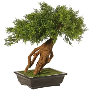 Künstlicher Bonsai - Lin, 45 cm