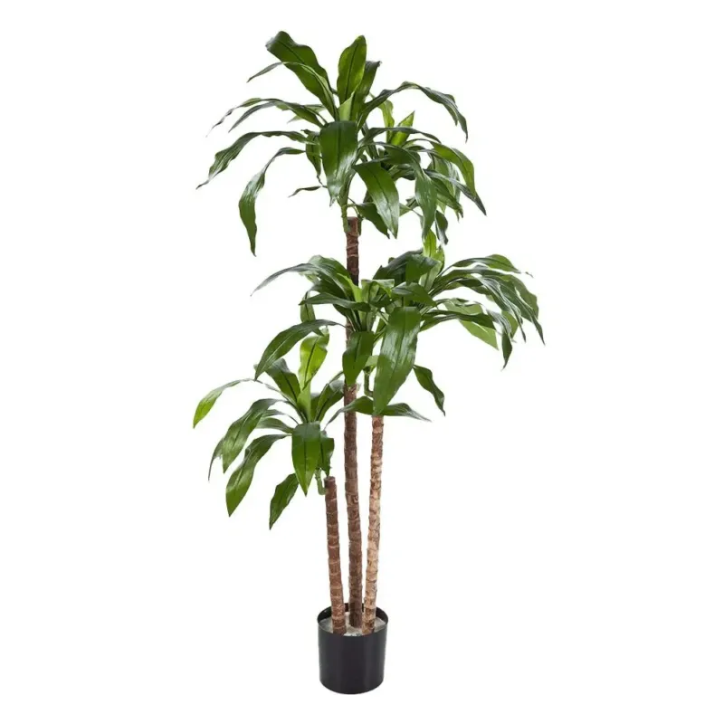 Künstlicher Drachenbaum mit Echtholzstamm - Dacar, 120 - 150 cm
