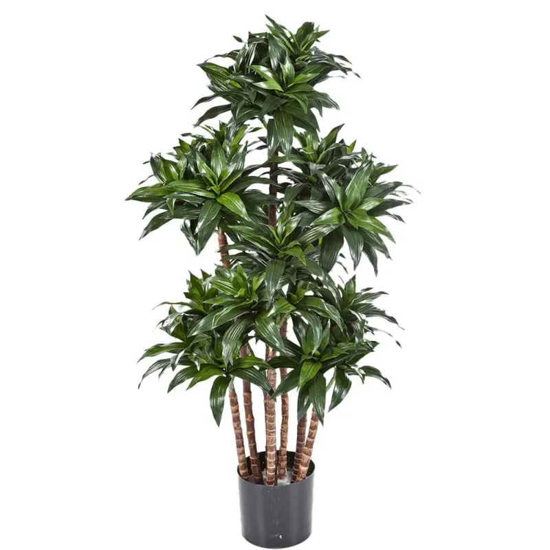 Künstlicher Drachenbaum mit Echtholzstamm - Tamika, 120 cm