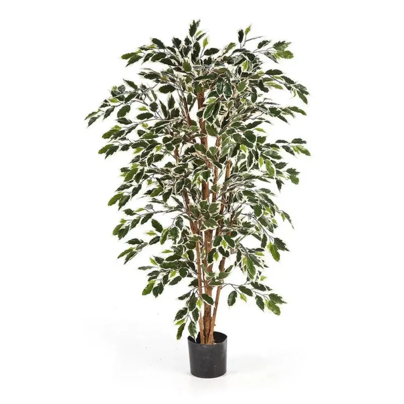Künstlicher Ficus Benjamina mit Echtholzstamm - Bandana, 120 - 150 cm