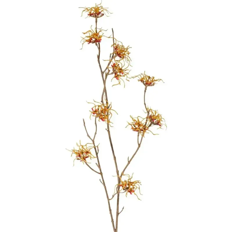 Künstlicher Zaubernuss Zweig - Hermine, 68 cm