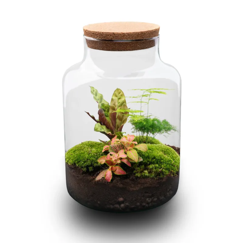 Milky - Terrarium with light - Bottle garden DIY kit - Ø 21 cm ↑ 30 cm