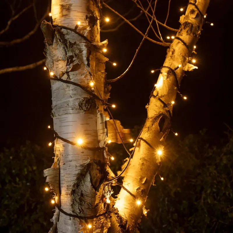 Pro Connect IP67, 195m 1950er LED Lichterkette gold warmweiß koppelbar schwarzes Kabel