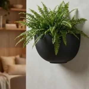 Hanging Wally Peter Wandpflanzschale Schwarz aus Fiberstone – runde Wandschale freigestellt