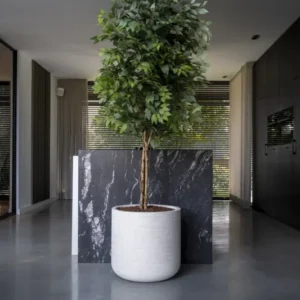Ficus Baum Künstlich H: 180cm - Finestgreen