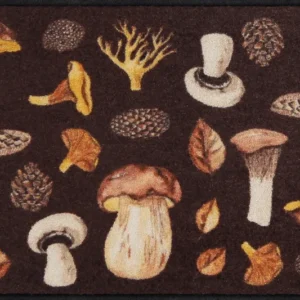 Fußmatte 50x75 Mushroom Time braun