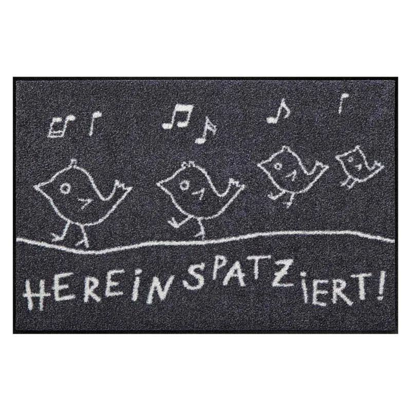 Fußmatte 50x75 Hereinspatziert grau