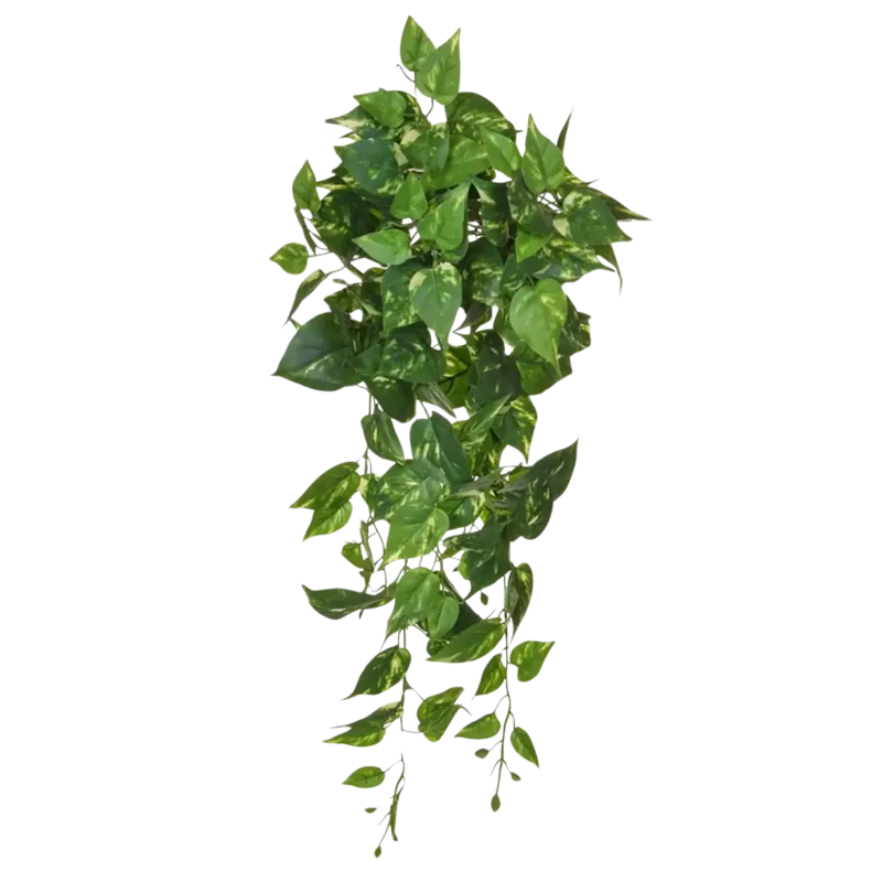 Künstlicher Pothos - Walter, 80 cm, Kunstpflanze von aplanta, feuerhemmend, B1-zertifiziert, Steckpflanze, in Grün