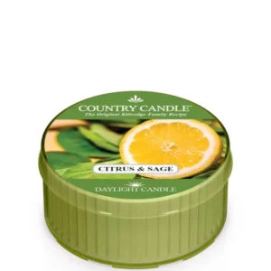 Kringle Candle Citrus & Sage Duftkerze – Zitrus, Salbei, Sandelholz & Tonka für Wintertage