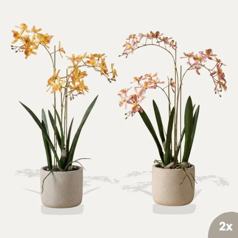 Renanthera orchid mix - 2pcs - Artificial Plants - Bundle set