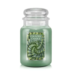 Spiral Aloe Duftkerze von Country Candle – frischer, floraler Duft mit Rosen & Amber