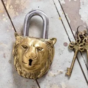 Brass Lion Face Door Lock (5 Inch)