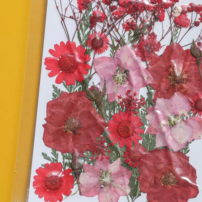 Pochette de fleurs pressées rouges, vue de face - Flowrette