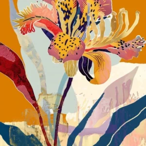 Colourful Flower Illustration Gaillardia 3