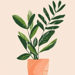 Zz Plant Minimalist Illustration 15
