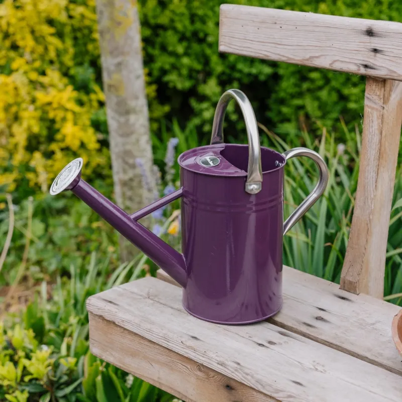 Metalvandkande, 4,5 L, dyb violet