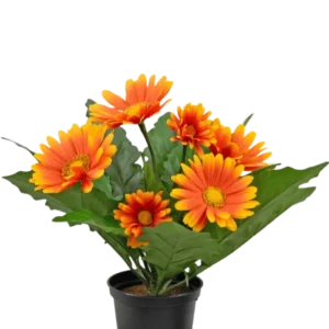 Die künstliche Gerbera UV 28 cm orange Pflanze hat künstliche orange und gelbe gänseblümchenartige Blüten mit grünen Blättern in einem schwarzen Topf, perfekt, um jeden Raum aufzuhellen.