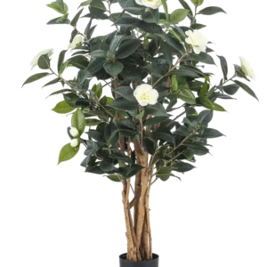 Die Kunstpflanze Camellia japonica 100 cm hat mehrere hohe braune Stängel, dunkelgrüne Blätter und weiße Kunstblumen vor einem schlichten weißen Hintergrund.
