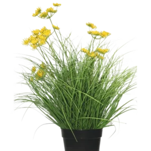 Die feuerhemmende Kunstrasenpflanze Asteraceae 50 cm hat lange, dünne grüne Blätter und kleine gelbe Blüten in einem schwarzen Topf, der für ein grünes Aussehen sorgt – perfekter Kunstrasen im Zuhause vor einem schlichten weißen Hintergrund.