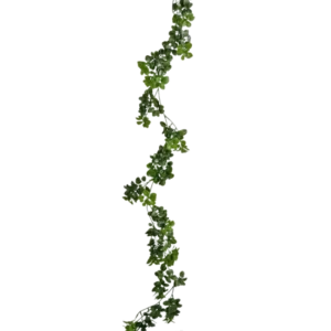 Die künstliche Schlingpflanze Gardenia 157 cm hat eine einzelne, lange grüne Ranke mit kleinen Blättern, die vertikal vor einem schlichten weißen Hintergrund hängt.