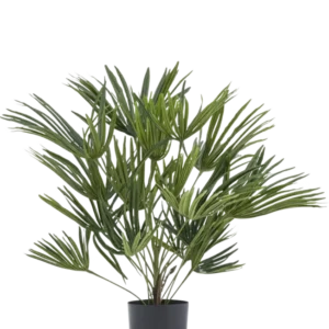Die Kunstpflanze Babypalme Fächer im Topf UV 50 cm hat lange, schlanke grüne Blätter in einem stilvollen Topf – ideal, um Ihrem Interieur eine elegante Note zu verleihen oder für zusätzliches Flair mit dekorativen Töpfen zu kombinieren.