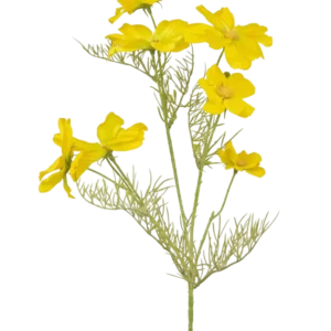 Der künstliche Blumenkörbchen 74 cm gelb hat leuchtend gelbe Blüten und zarte, federgrüne Blätter an schlanken Stielen – perfekt für die Gestaltung eines Blumenstraußes vor einem schlichten weißen Hintergrund.