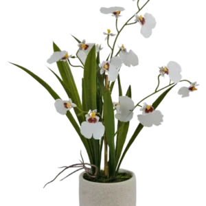 Das künstliche Oncidium Real Touch 48 cm weiß hat lebensechte weiße Orchideen mit grünen Blättern, wunderschön arrangiert in einem schlichten, runden, hellen Keramiktopf.