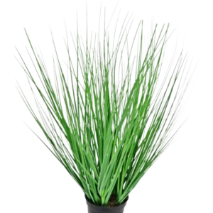 Die feuerhemmende Kunstrasenpflanze Zwiebel 50 cm hat lange, dünne, grüne, grasähnliche Blätter, die sich von der Mitte nach außen erstrecken und in einem Topf vor einem schlichten weißen Hintergrund präsentiert werden.