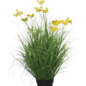 Die feuerhemmende Kunstrasenpflanze Asteraceae 90 cm hat lange, schlanke, grasartige Blätter und Büschel kleiner, leuchtend gelber Blüten an langen Stielen vor einem schlichten weißen Hintergrund.