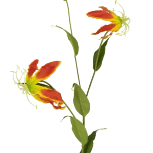 Die Kunstblume Gloriosa 81 cm rot/gelb hat zwei offene rote und gelbe Gloriosa-Lilienblüten, eine geschlossene Knospe und eine Reihe langer grüner Blätter, alles vor einem schlichten weißen Hintergrund.