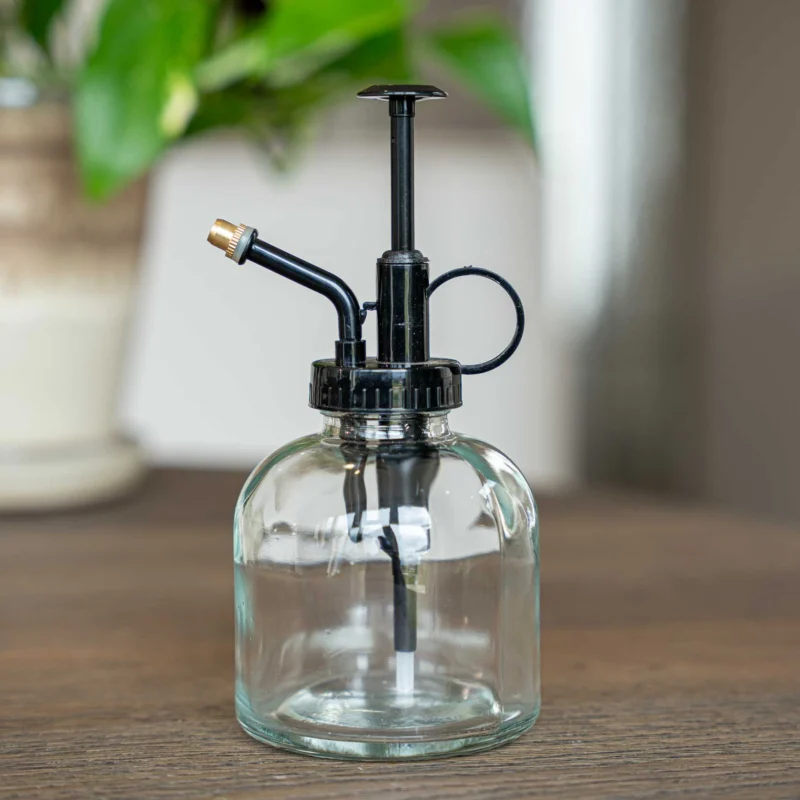 Plant mister - Waterer - Glass Gardening Sprinkler - Clear Glass - ↑ 16 cm