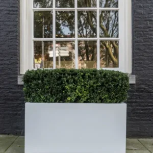 Jort Pflanzkübel Matt Weiß aus Fiberstone – runder Kübel im Lifestyle-Setting