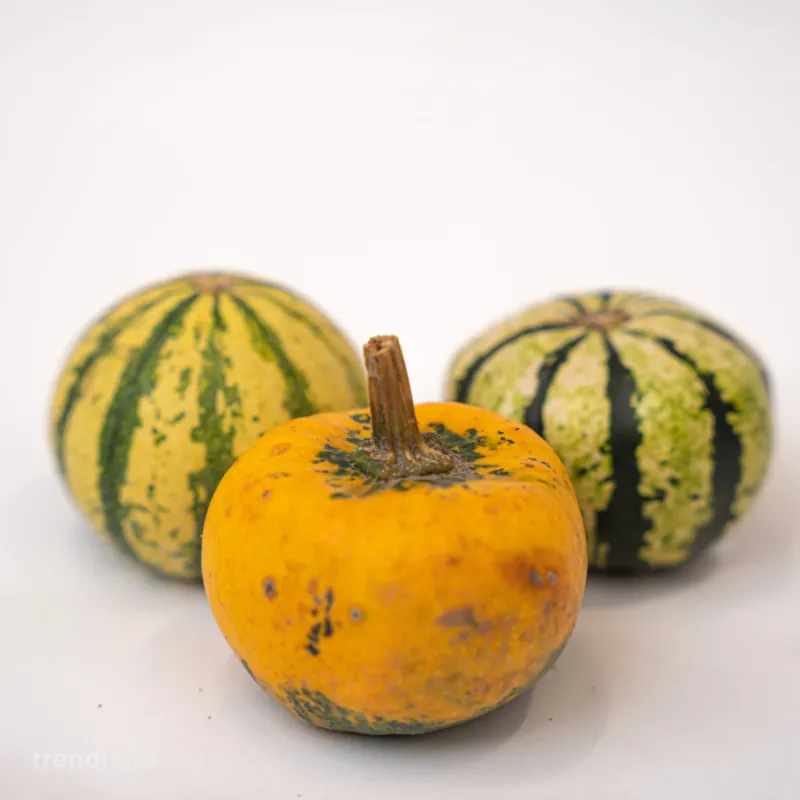 Pumpkin mini set (3 pcs, 6–8 cm) - Natural autumn decoration