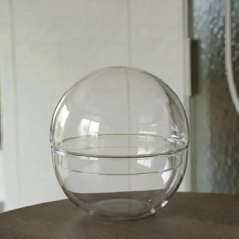 Terrarium bottle ‘Dome’ – Two-part round glass – Closed terrarium Ø 20 cm ↑ 20 cm