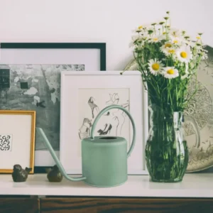 Watering Can 1.5 Lt Green SLK0019 - Exporgin - Global Shopping Site